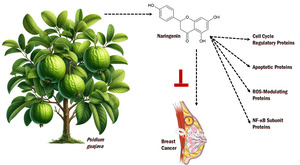 Figure from article: Molecular docking analysis...