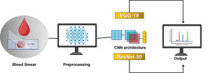 Figure from article: Automated Malaria Diagnosis...
