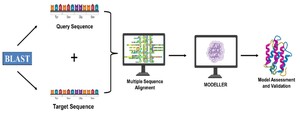 Figure from article: MODELLER-Based Homology...