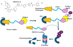 Figure from article: PROTACs in Action: Bridging...