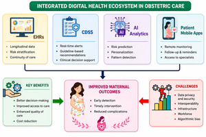 Figure from article: Digital Health Integration...
